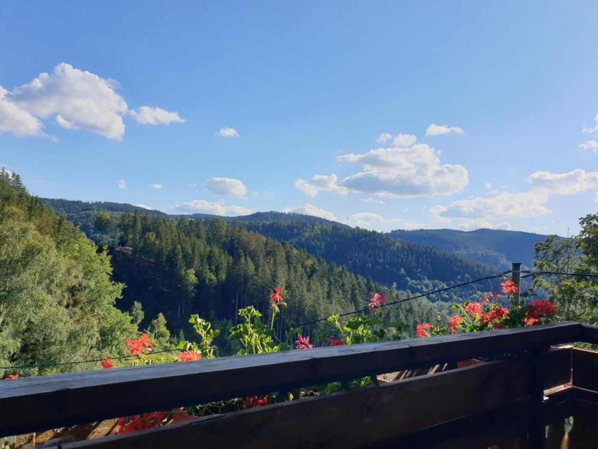 Landhaus Valentin Triberg im Schwarzwald Kültér fotó
