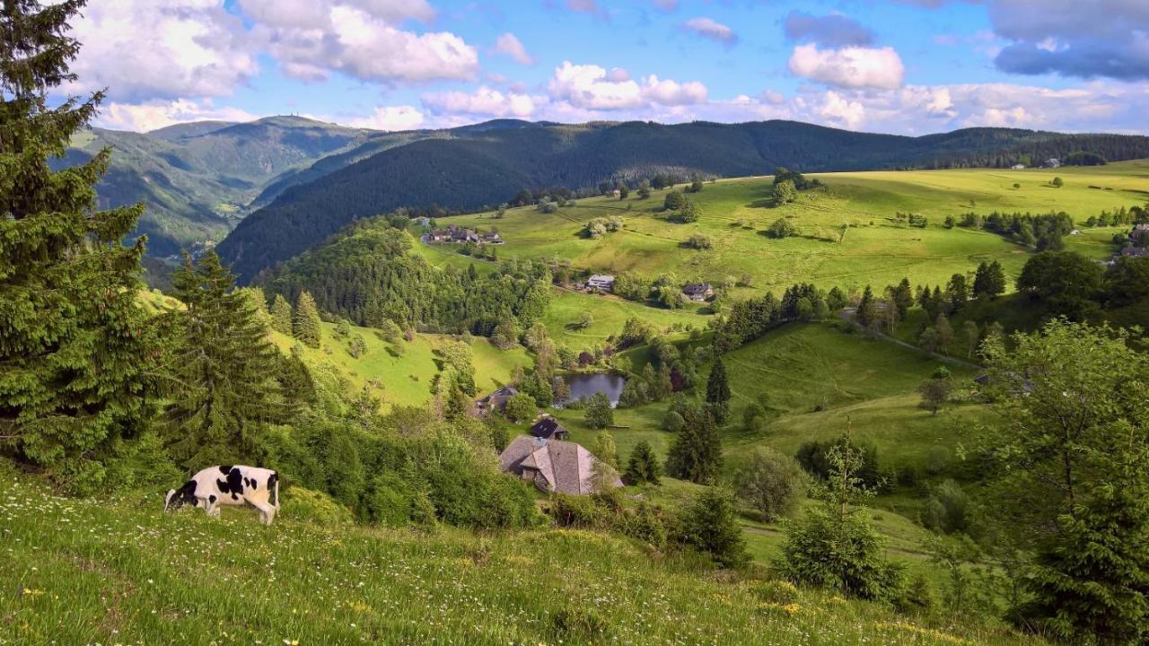 Landhaus Valentin Apartman Triberg im Schwarzwald Kültér fotó