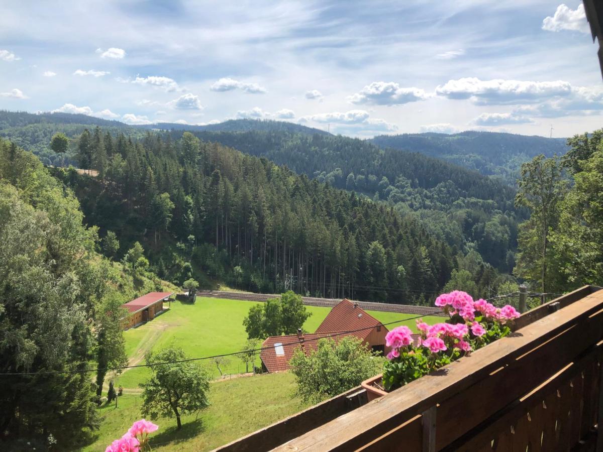 Landhaus Valentin Apartman Triberg im Schwarzwald Kültér fotó