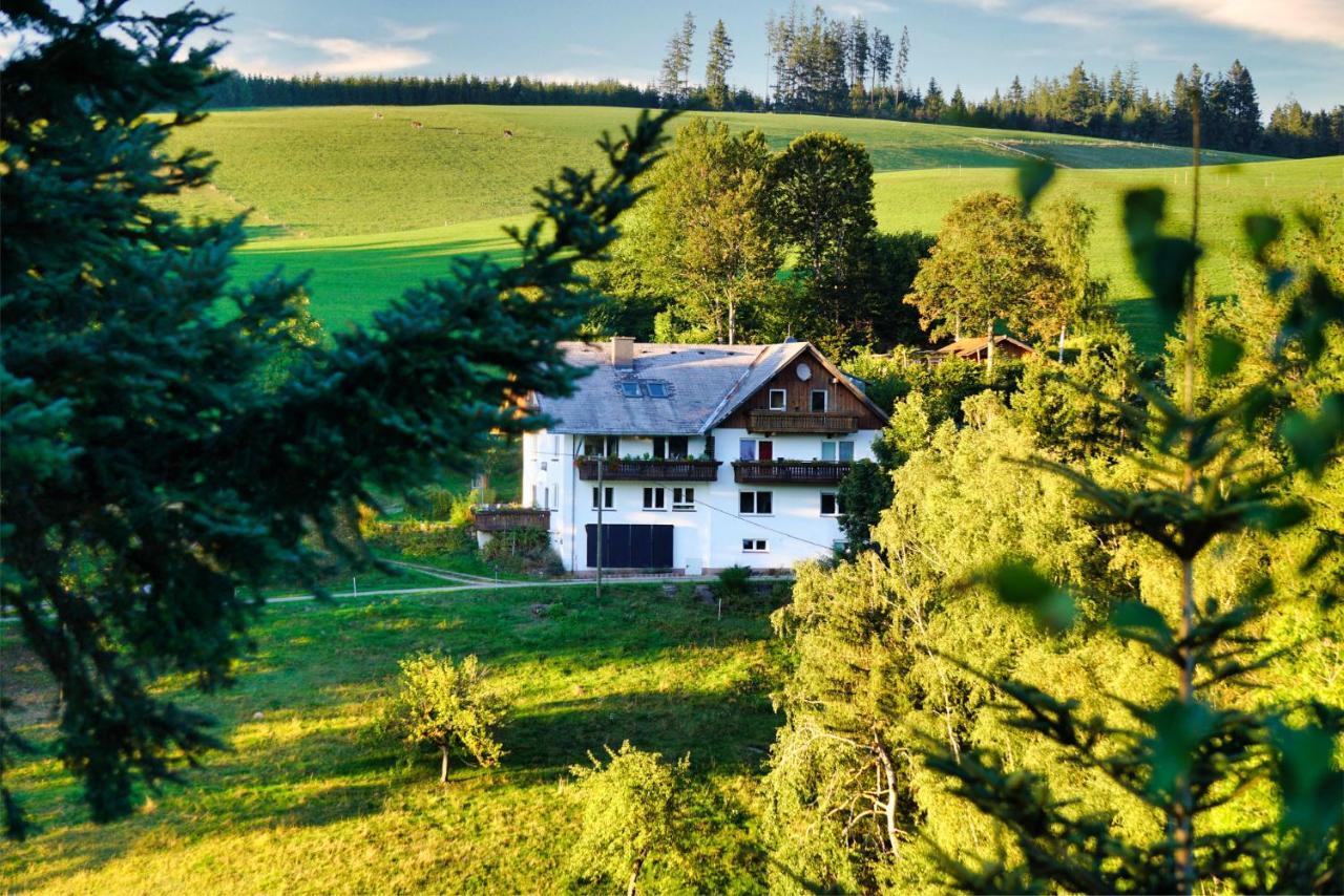 Landhaus Valentin Apartman Triberg im Schwarzwald Kültér fotó