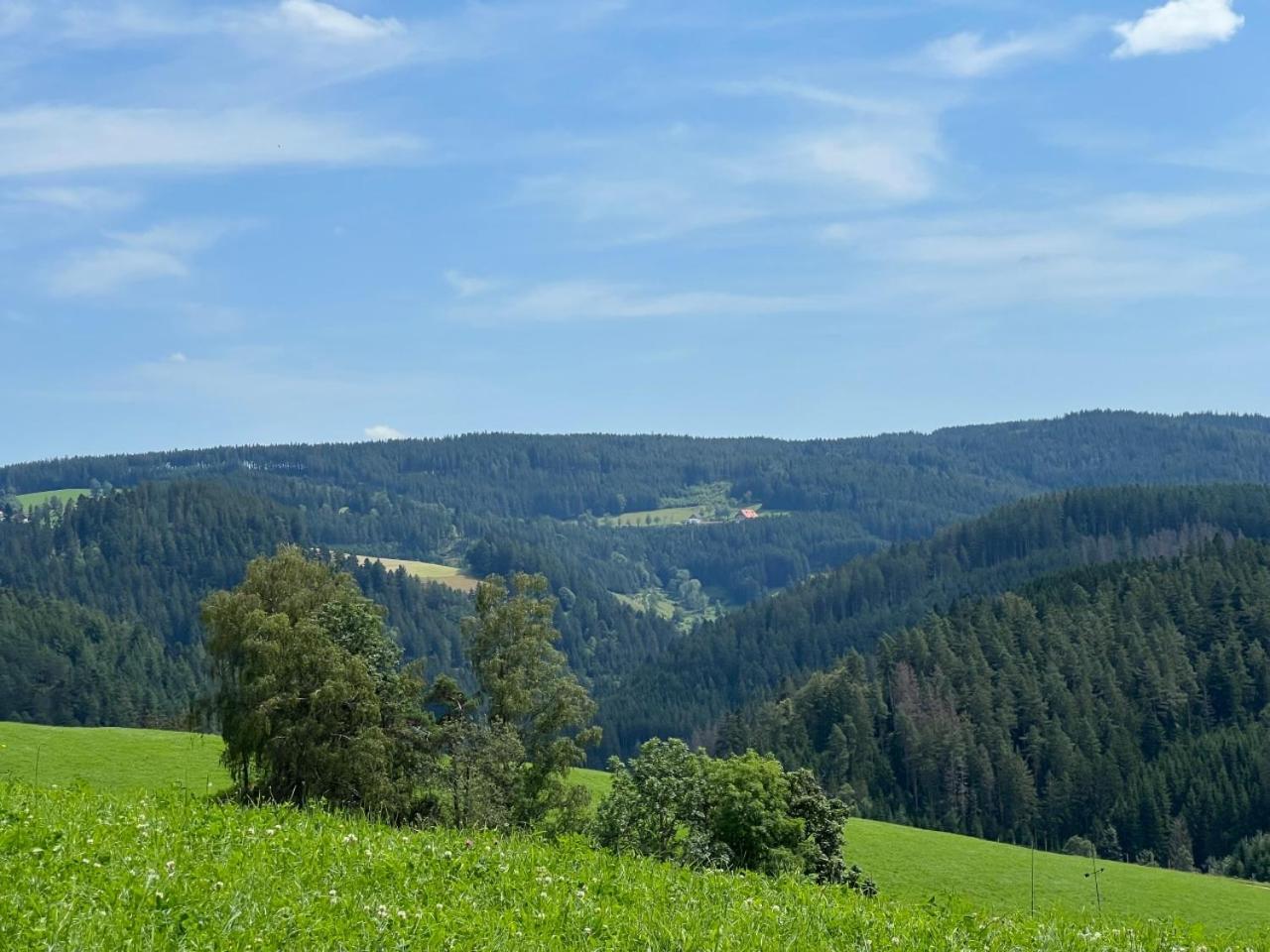 Landhaus Valentin Apartman Triberg im Schwarzwald Kültér fotó