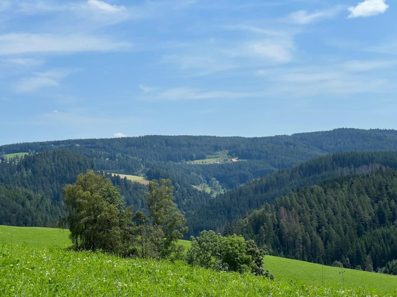 Landhaus Valentin Triberg im Schwarzwald Kültér fotó