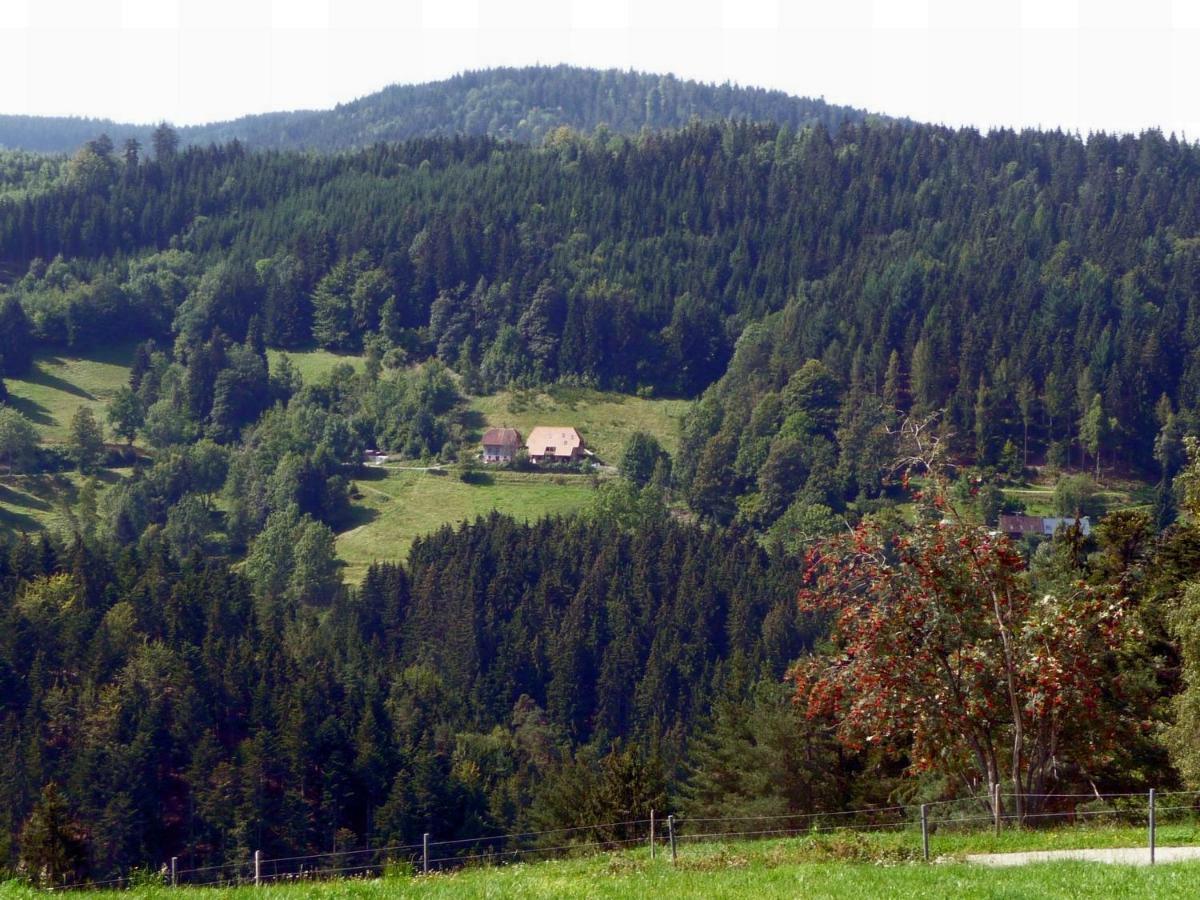 Landhaus Valentin Apartman Triberg im Schwarzwald Kültér fotó