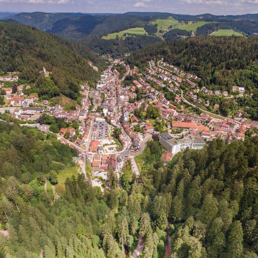 Landhaus Valentin Apartman Triberg im Schwarzwald Kültér fotó